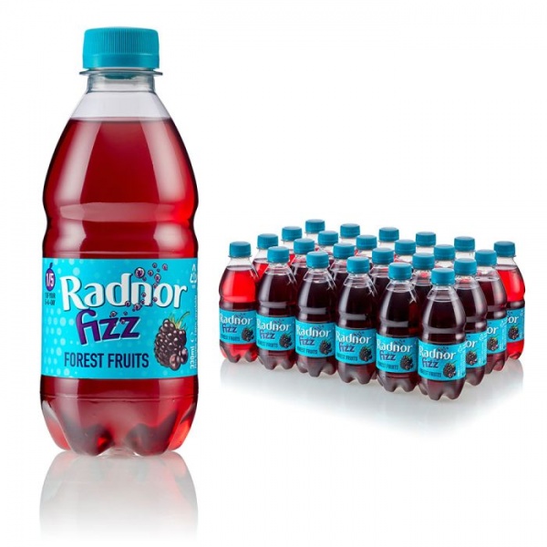 Radnor 45% Forest Fruits Fizz Bottle 330Ml (24 Pack)